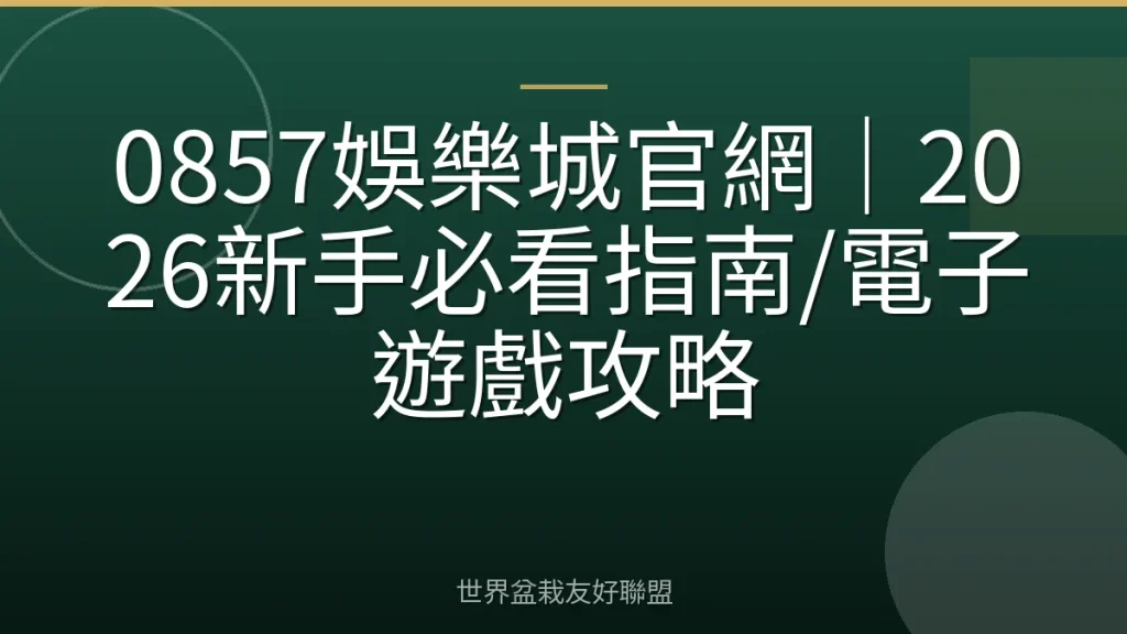 0857娛樂城官網｜2026新手必看指南/電子遊戲攻略