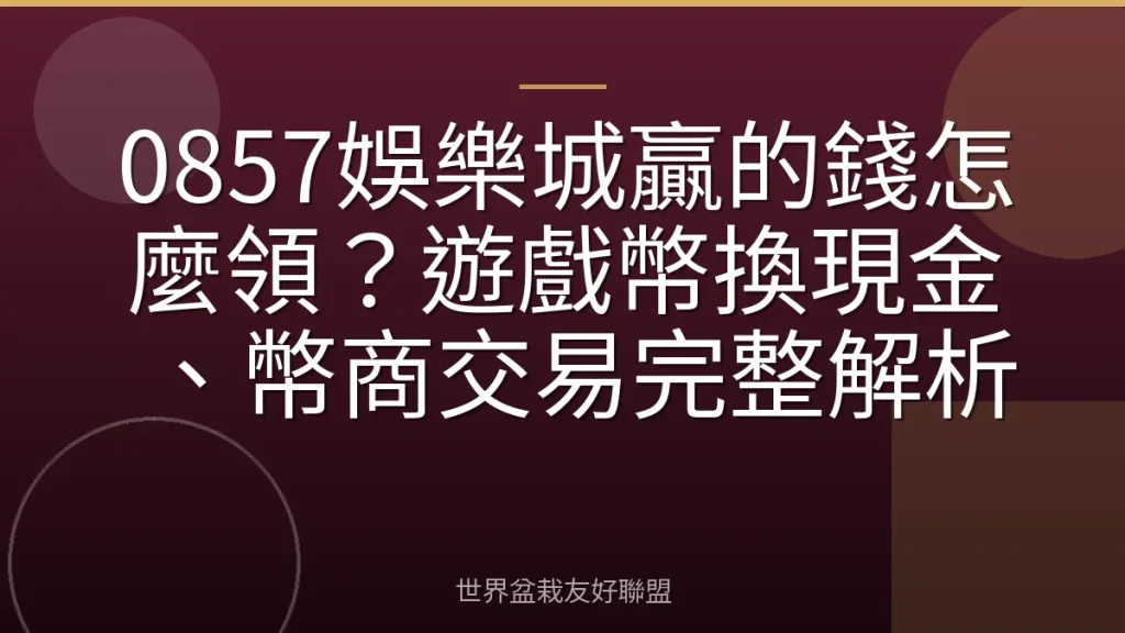 0857娛樂城贏的錢怎麼領?遊戲幣換現金、幣商交易完整解析
