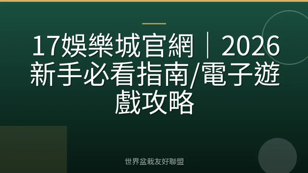 17娛樂城官網|2026新手必看指南/電子遊戲攻略