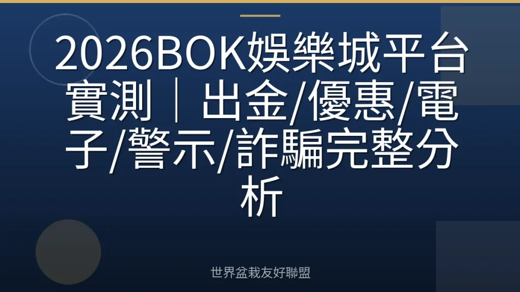 2026BOK娛樂城平台實測|出金/優惠/電子/警示/詐騙完整分析