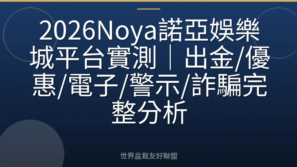 2026Noya諾亞娛樂城平台實測｜出金/優惠/電子/警示/詐騙完整分析