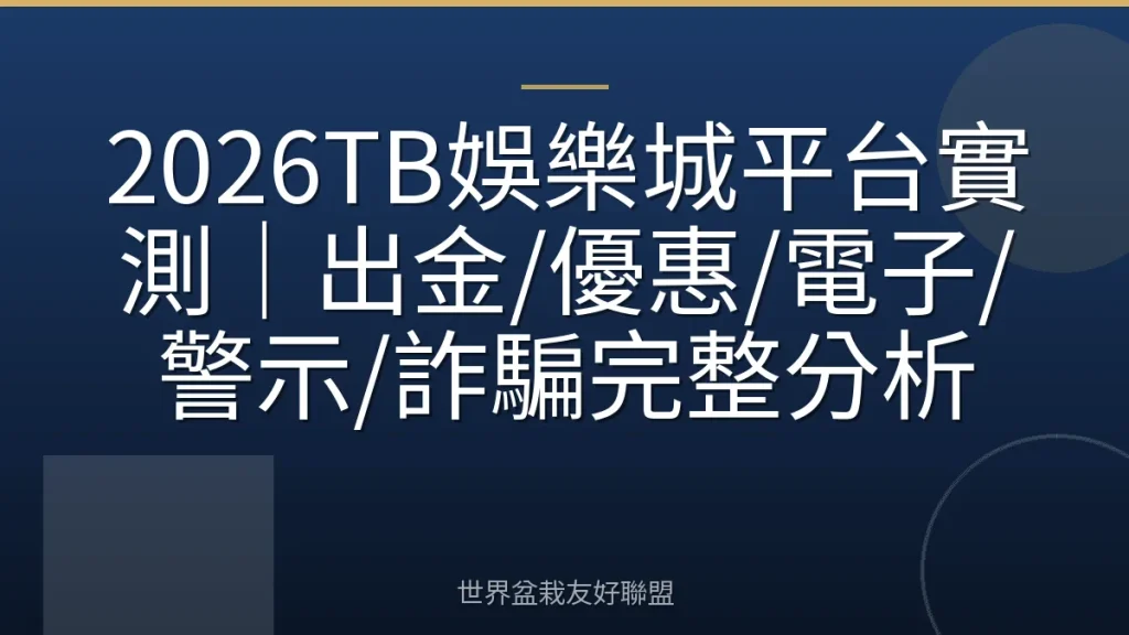 2026TB娛樂城平台實測|出金/優惠/電子/警示/詐騙完整分析