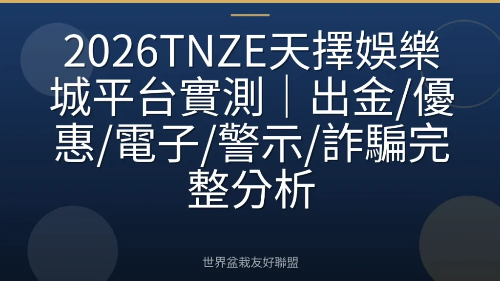 2026TNZE天擇娛樂城平台實測｜出金/優惠/電子/警示/詐騙完整分析