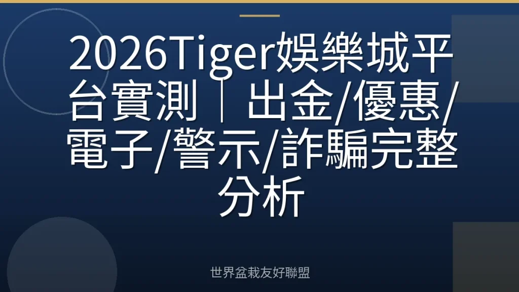 2026Tiger娛樂城平台實測|出金/優惠/電子/警示/詐騙完整分析