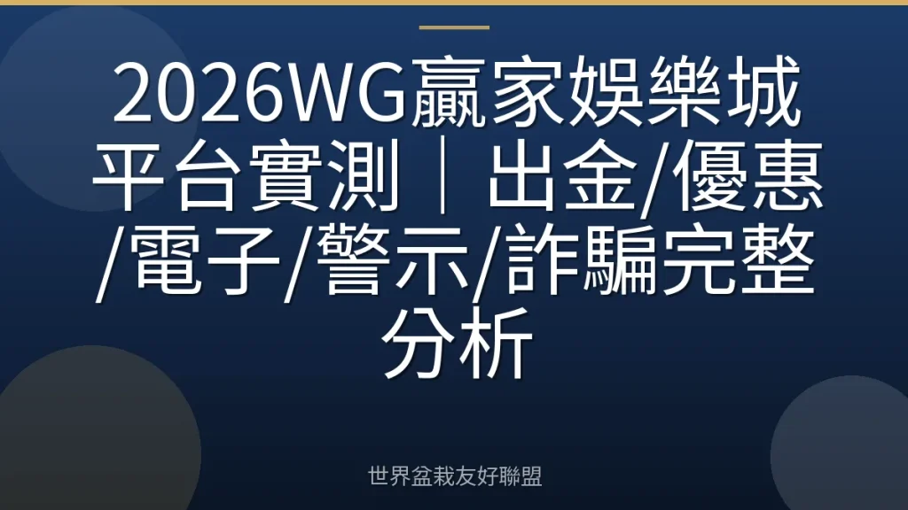 2026WG贏家娛樂城平台實測|出金/優惠/電子/警示/詐騙完整分析