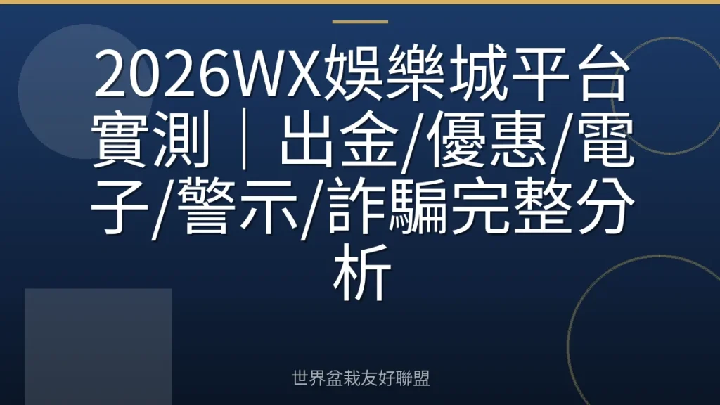 2026WX娛樂城平台實測|出金/優惠/電子/警示/詐騙完整分析