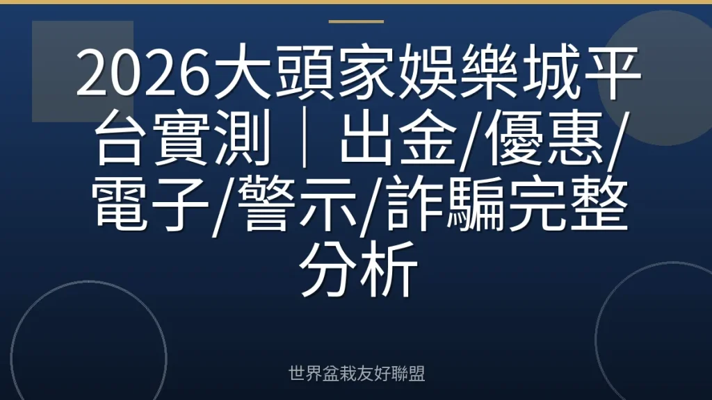 2026大頭家娛樂城平台實測|出金/優惠/電子/警示/詐騙完整分析