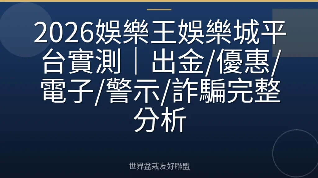 2026娛樂王娛樂城平台實測|出金/優惠/電子/警示/詐騙完整分析