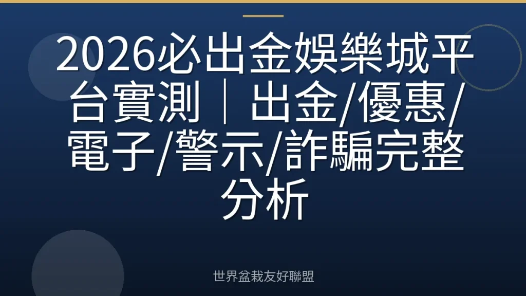 2026必出金娛樂城平台實測｜出金/優惠/電子/警示/詐騙完整分析