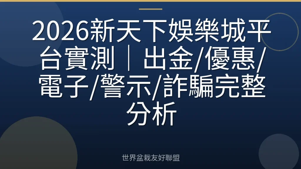 2026新天下娛樂城平台實測|出金/優惠/電子/警示/詐騙完整分析
