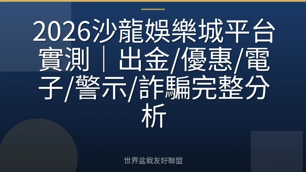 2026沙龍娛樂城平台實測|出金/優惠/電子/警示/詐騙完整分析