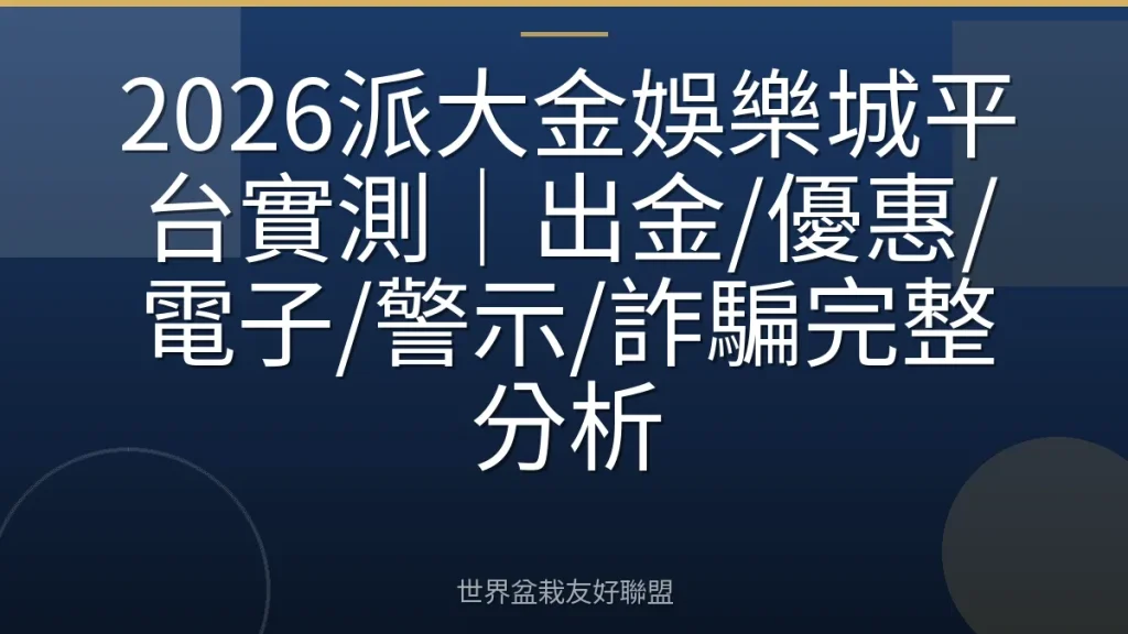 2026派大金娛樂城平台實測|出金/優惠/電子/警示/詐騙完整分析