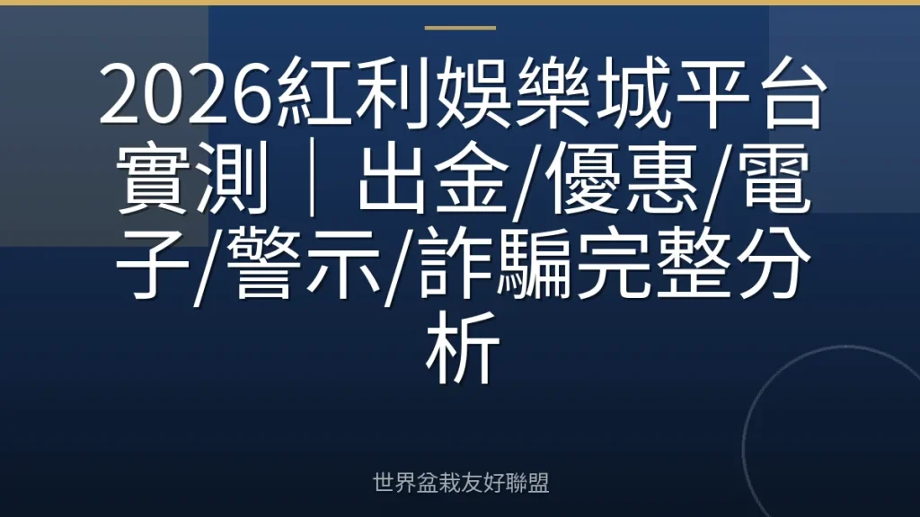 2026紅利娛樂城平台實測｜出金/優惠/電子/警示/詐騙完整分析