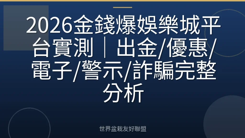 2026金錢爆娛樂城平台實測|出金/優惠/電子/警示/詐騙完整分析