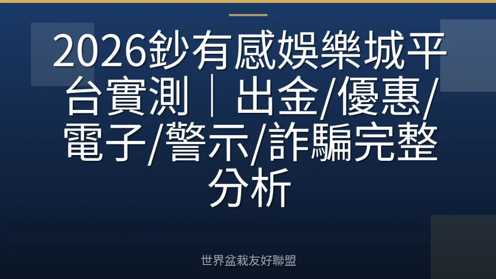 2026鈔有感娛樂城平台實測｜出金/優惠/電子/警示/詐騙完整分析