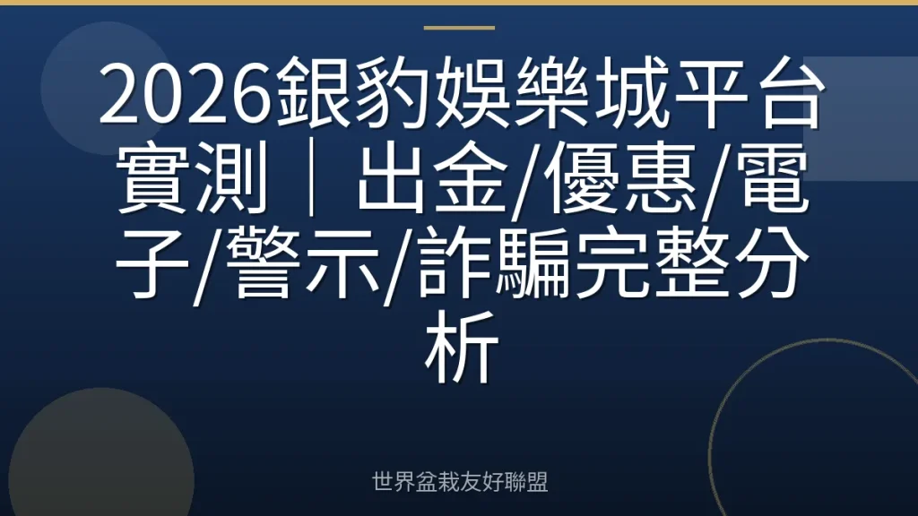 2026銀豹娛樂城平台實測｜出金/優惠/電子/警示/詐騙完整分析