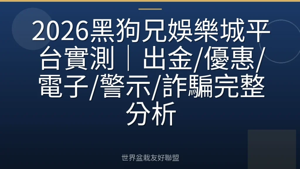 2026黑狗兄娛樂城平台實測|出金/優惠/電子/警示/詐騙完整分析