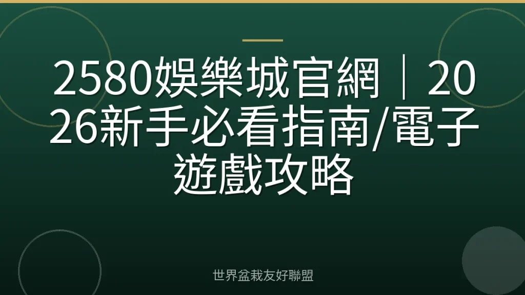 2580娛樂城官網|2026新手必看指南/電子遊戲攻略