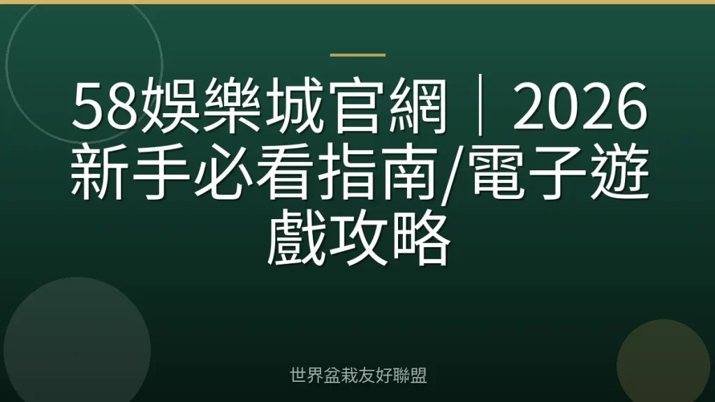 58娛樂城官網｜2026新手必看指南/電子遊戲攻略