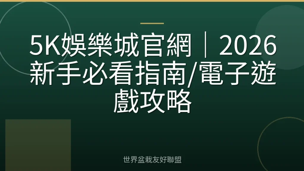 5K娛樂城官網｜2026新手必看指南/電子遊戲攻略
