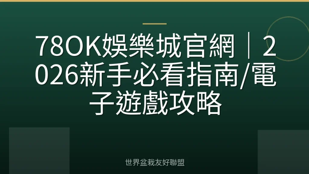78OK娛樂城官網|2026新手必看指南/電子遊戲攻略