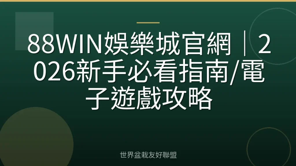 88WIN娛樂城官網|2026新手必看指南/電子遊戲攻略
