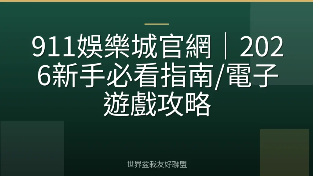 911娛樂城官網|2026新手必看指南/電子遊戲攻略