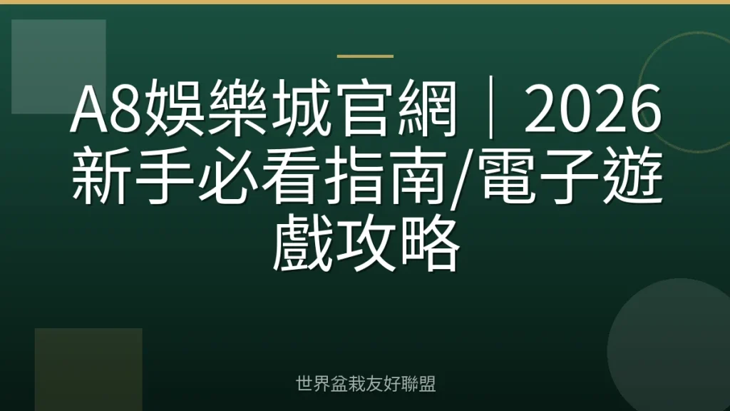 A8娛樂城官網｜2026新手必看指南/電子遊戲攻略