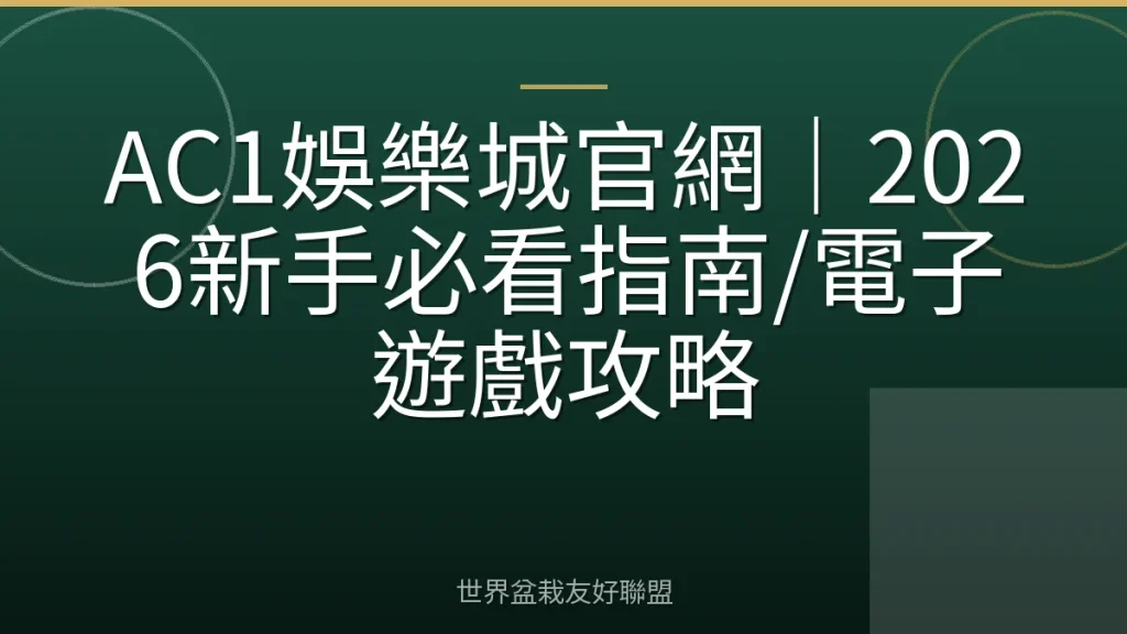 AC1娛樂城官網|2026新手必看指南/電子遊戲攻略