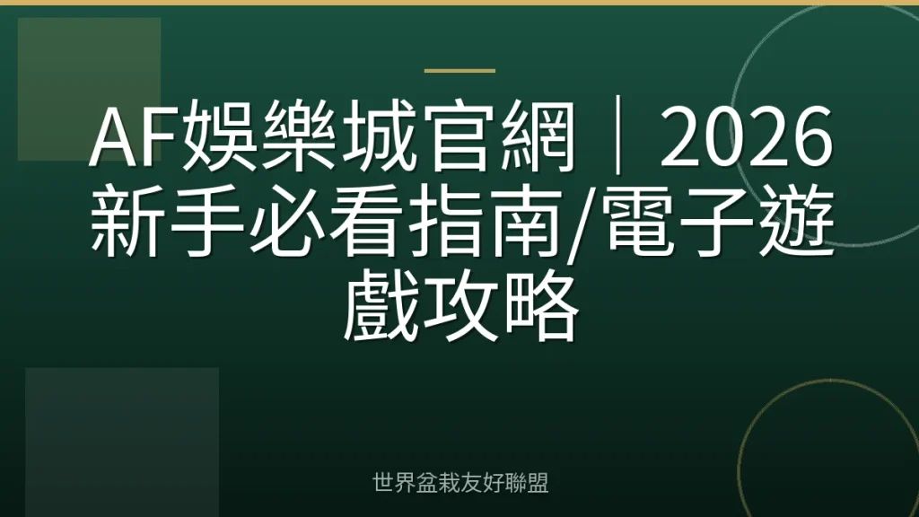 AF娛樂城官網|2026新手必看指南/電子遊戲攻略