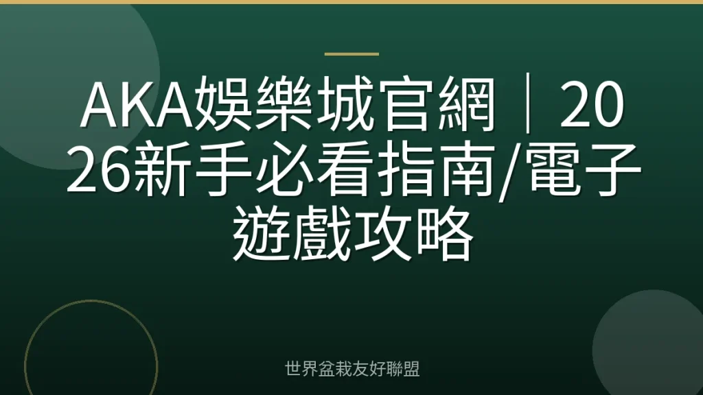 AKA娛樂城官網|2026新手必看指南/電子遊戲攻略