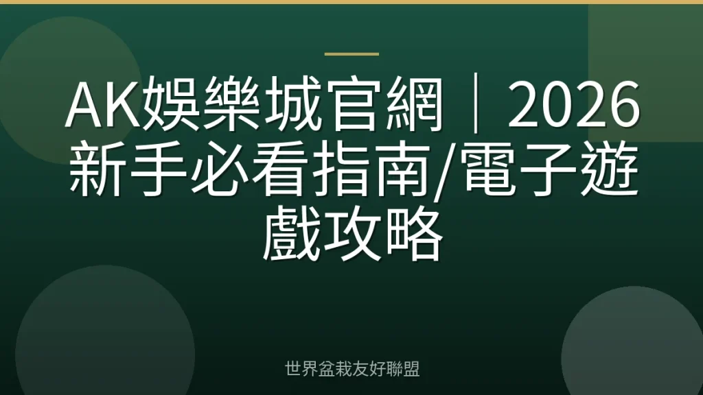 AK娛樂城官網|2026新手必看指南/電子遊戲攻略