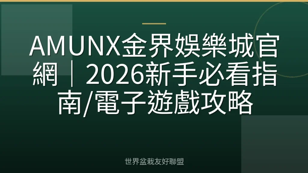 AMUNX金界娛樂城官網|2026新手必看指南/電子遊戲攻略
