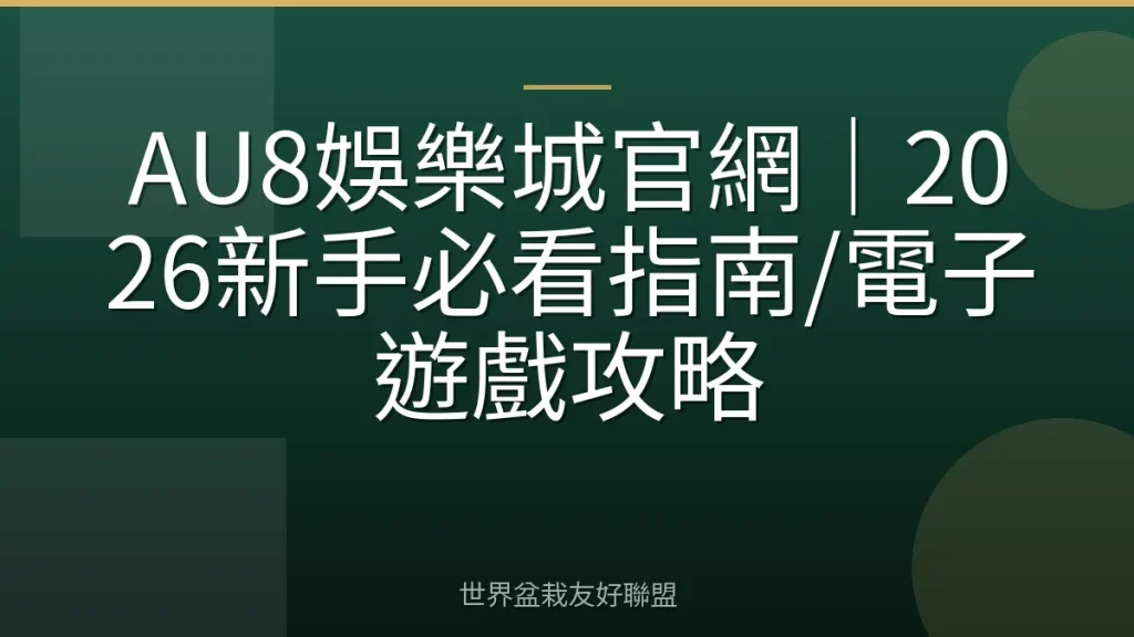 AU8娛樂城官網|2026新手必看指南/電子遊戲攻略