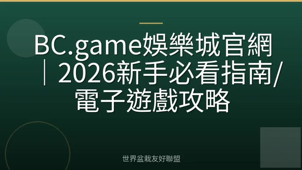 BC.game娛樂城官網|2026新手必看指南/電子遊戲攻略