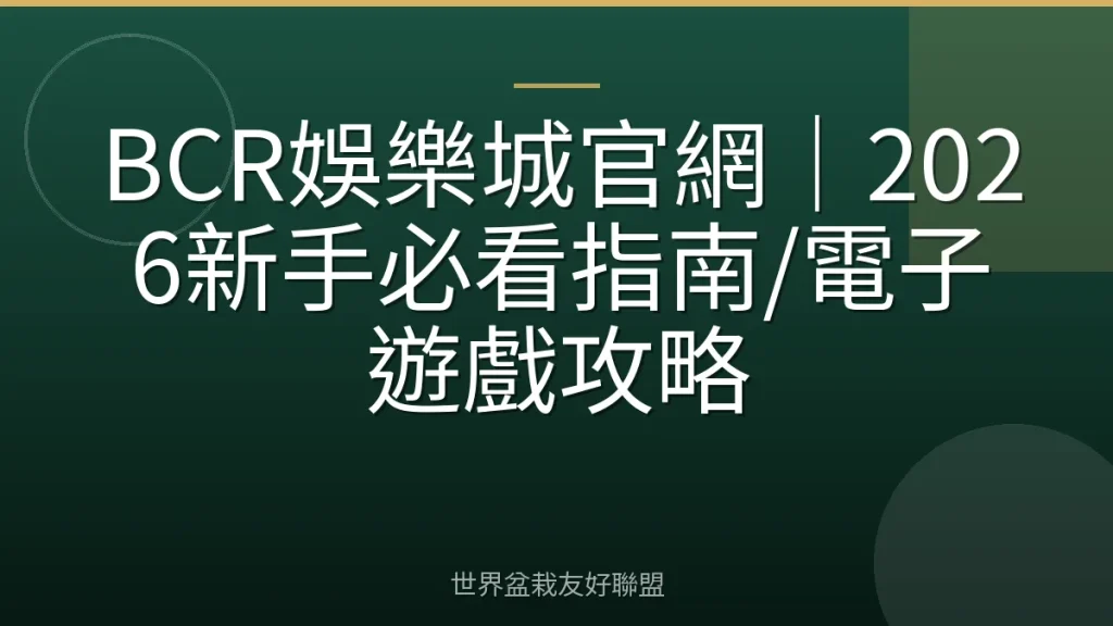 BCR娛樂城官網|2026新手必看指南/電子遊戲攻略