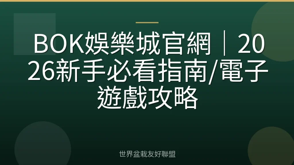 BOK娛樂城官網|2026新手必看指南/電子遊戲攻略