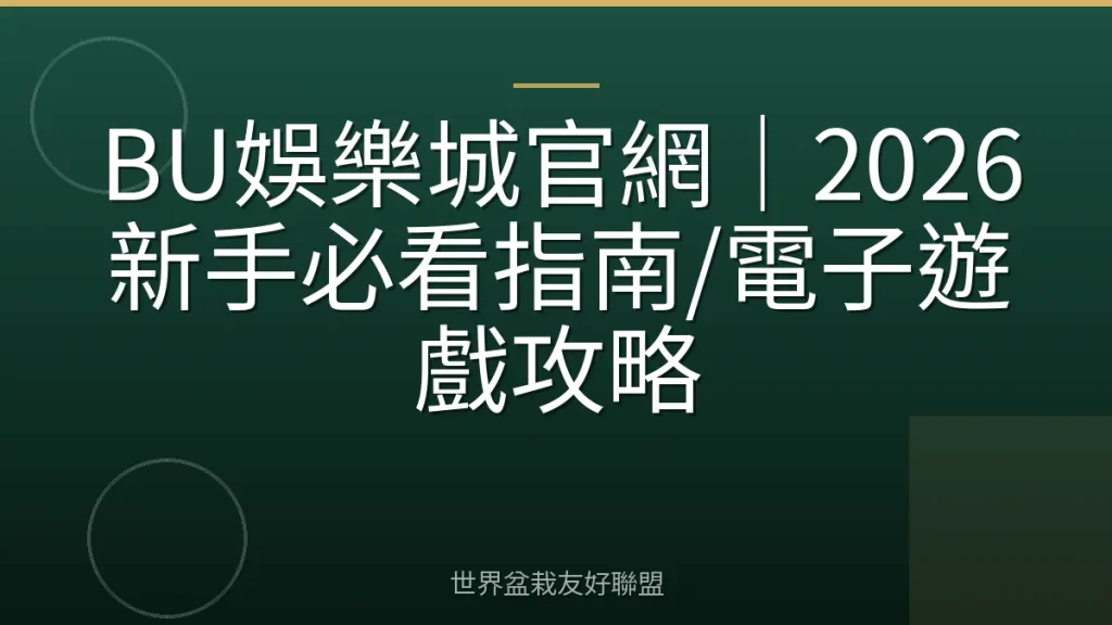 BU娛樂城官網|2026新手必看指南/電子遊戲攻略