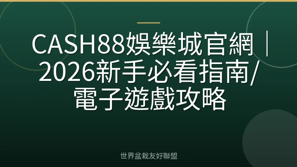 CASH88娛樂城官網|2026新手必看指南/電子遊戲攻略