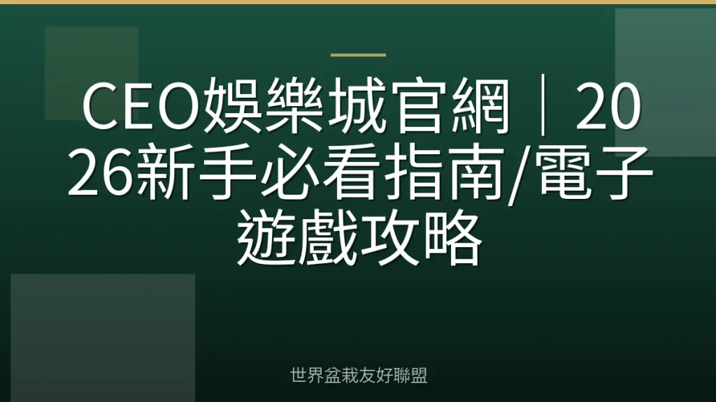 CEO娛樂城官網|2026新手必看指南/電子遊戲攻略