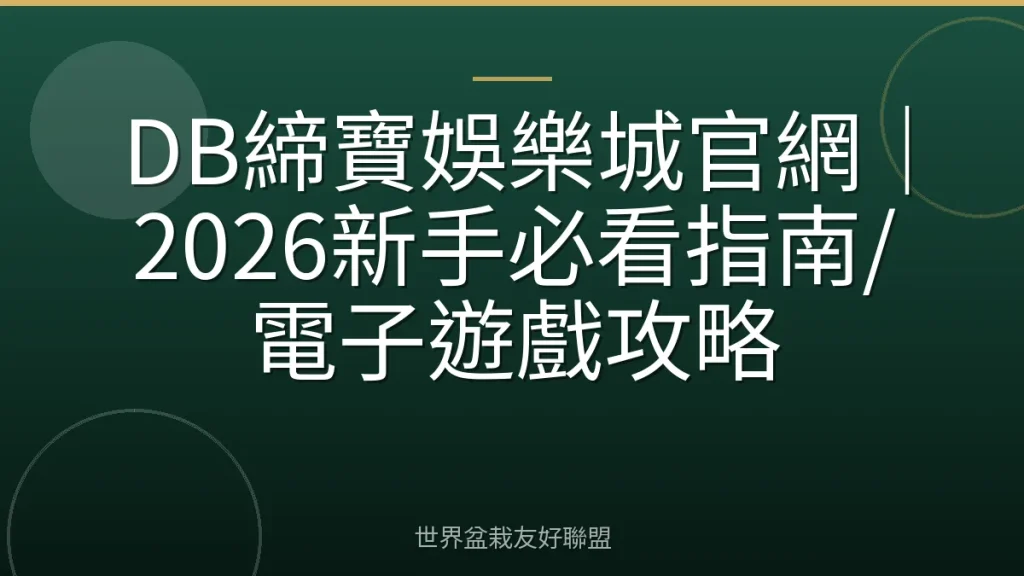 DB締寶娛樂城官網|2026新手必看指南/電子遊戲攻略
