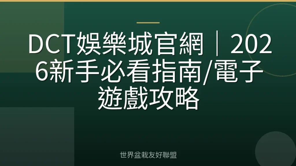 DCT娛樂城官網|2026新手必看指南/電子遊戲攻略