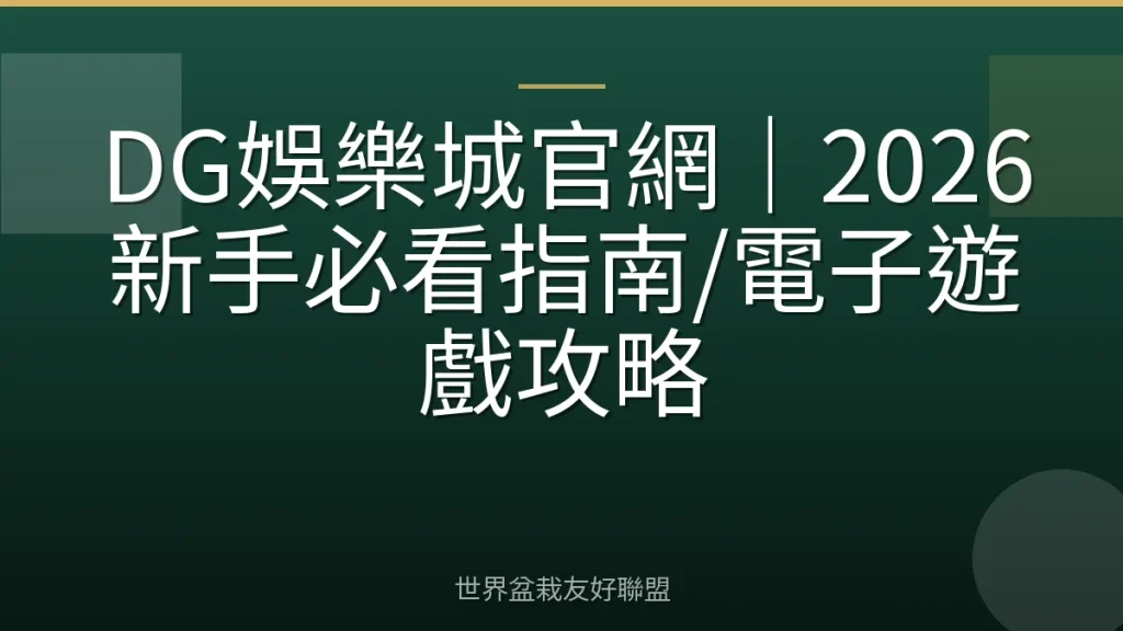 DG娛樂城官網｜2026新手必看指南/電子遊戲攻略