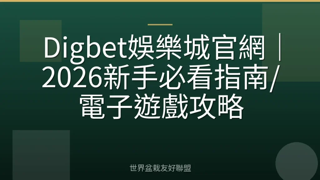 Digbet娛樂城官網|2026新手必看指南/電子遊戲攻略