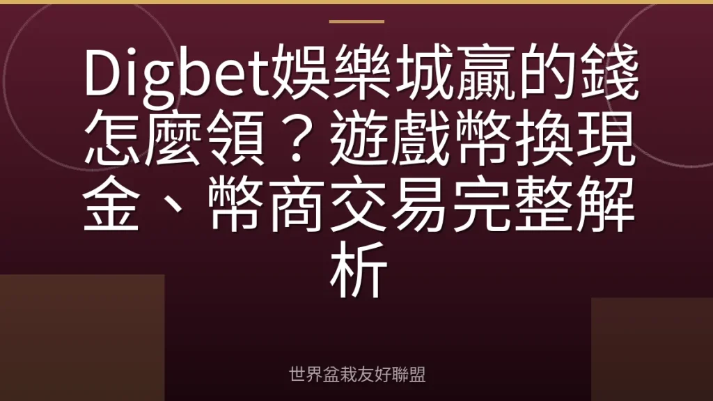 Digbet娛樂城贏的錢怎麼領?遊戲幣換現金、幣商交易完整解析