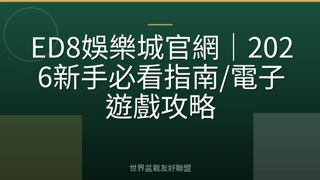 ED8娛樂城官網｜2026新手必看指南/電子遊戲攻略
