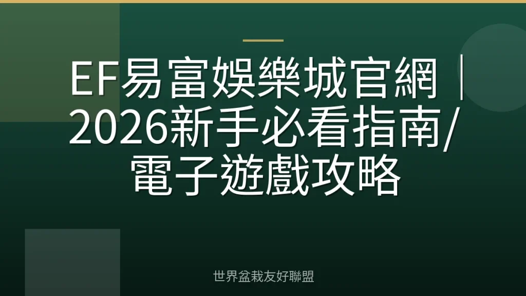 EF易富娛樂城官網｜2026新手必看指南/電子遊戲攻略