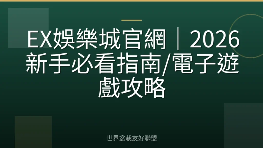 EX娛樂城官網｜2026新手必看指南/電子遊戲攻略