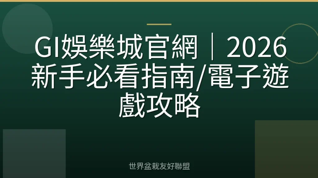 GI娛樂城官網｜2026新手必看指南/電子遊戲攻略