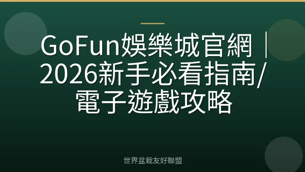 GoFun娛樂城官網|2026新手必看指南/電子遊戲攻略